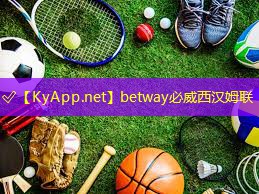 betway必威西汉姆联：健身房器材维修费