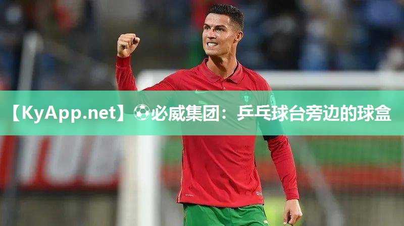 ⚽必威集团：乒乓球台旁边的球盒