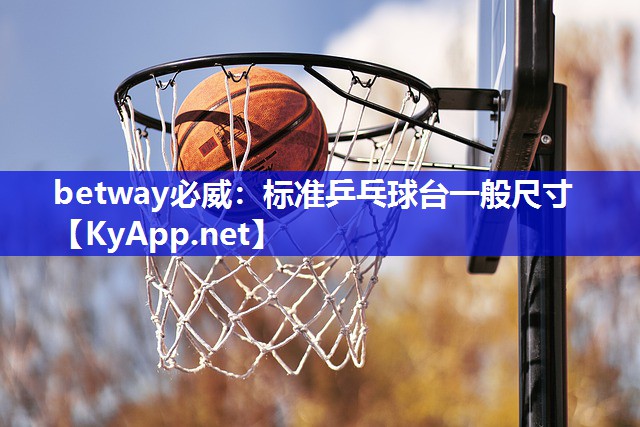 betway必威：标准乒乓球台一般尺寸