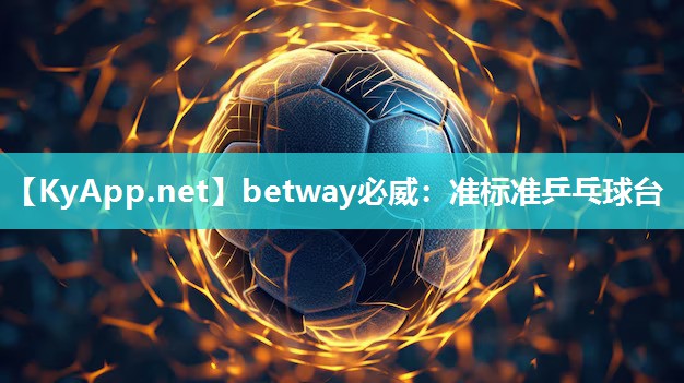 betway必威：准标准乒乓球台