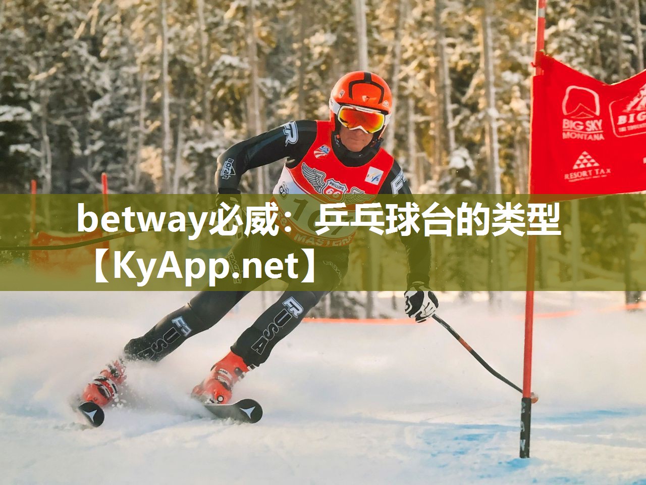 betway必威：乒乓球台的类型