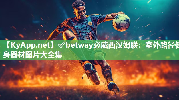 ✅betway必威西汉姆联：室外路径健身器材图片大全集