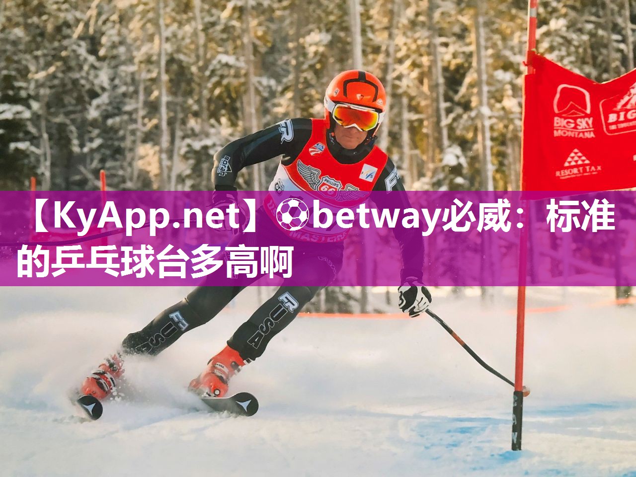 ⚽betway必威：标准的乒乓球台多高啊