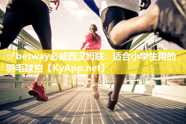 ✅betway必威西汉姆联：适合小学生用的羽毛球拍