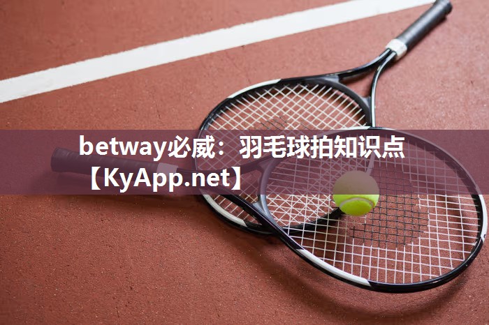 betway必威：羽毛球拍知识点