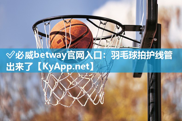 ✅必威betway官网入口：羽毛球拍护线管出来了