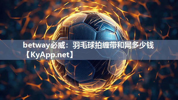 betway必威：羽毛球拍缠带和网多少钱