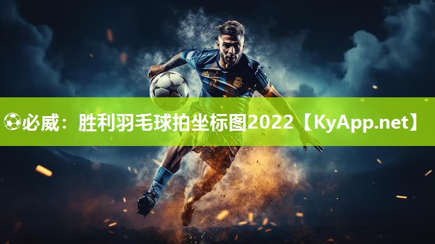 胜利羽毛球拍坐标图2022